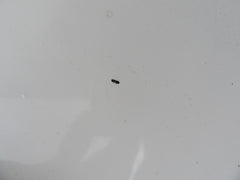 Bentley Continental Flying Spur radiator grille surround #0080