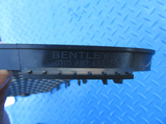 Bentley Continental Flying Spur left front bumper grille #2521