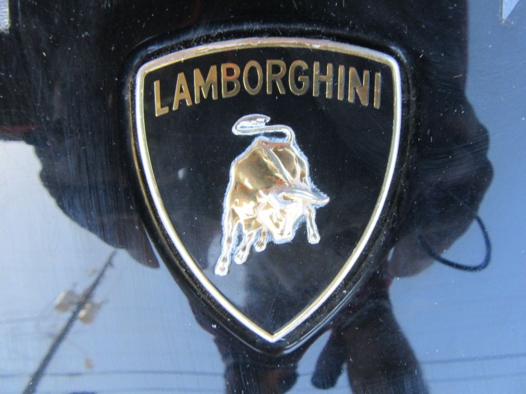 Lamborghini Gallardo hood bonnet OEM #7822