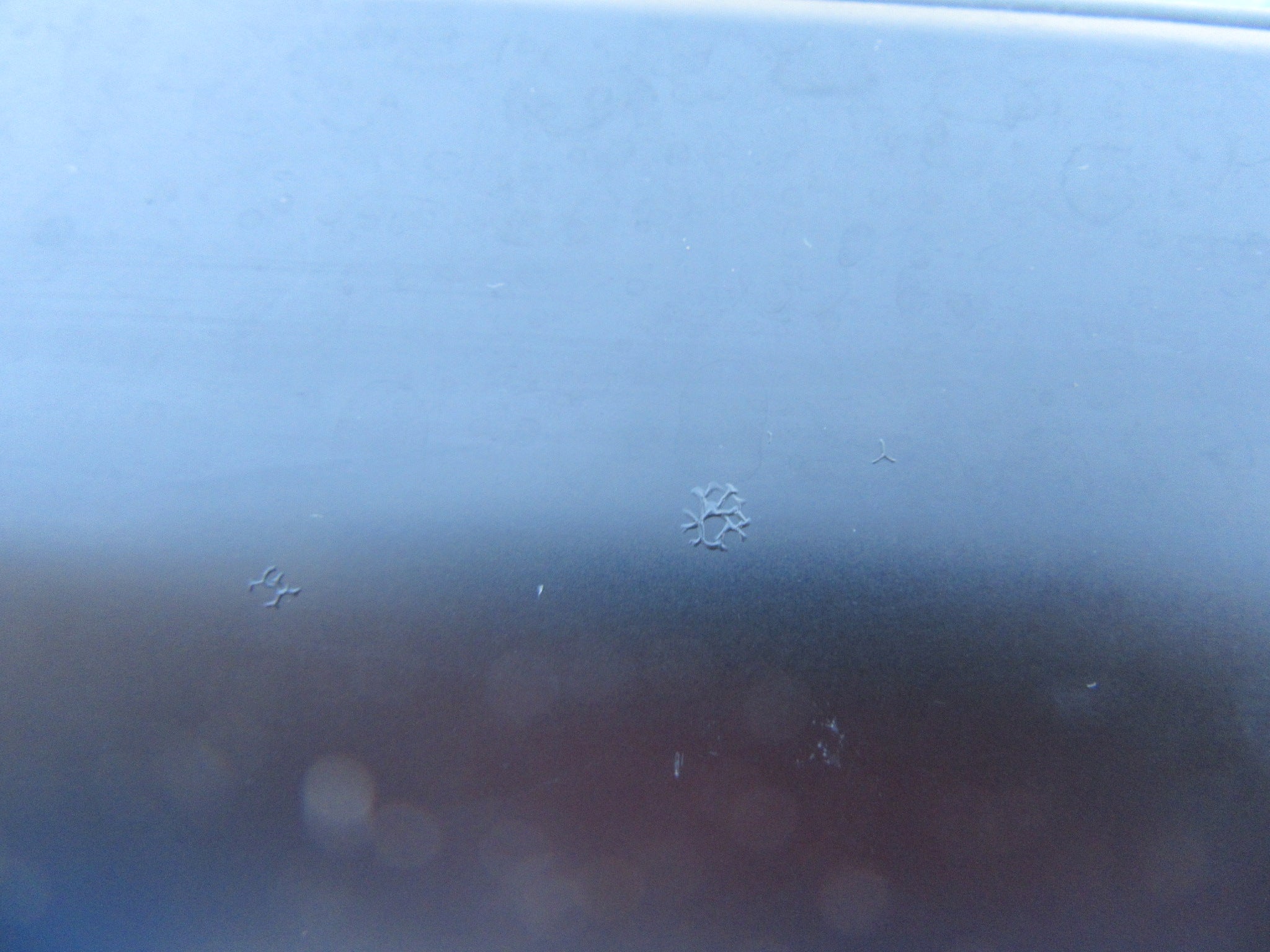 Rolls Royce Cullinan right rear door rub strip trim #2086