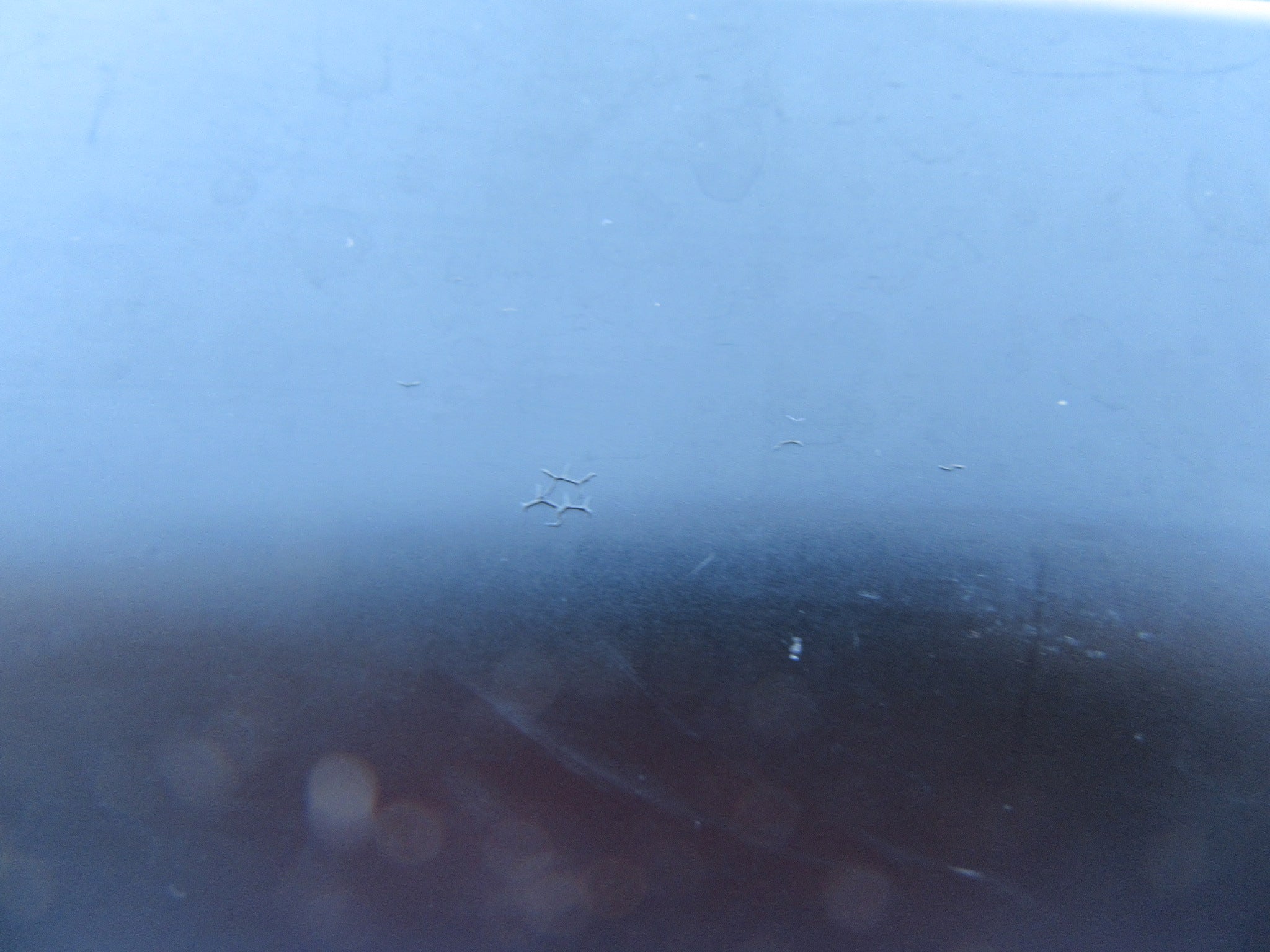 Rolls Royce Cullinan right rear door rub strip trim #2086