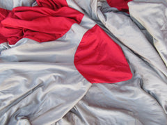 Audi R8 indoor car cover #2500