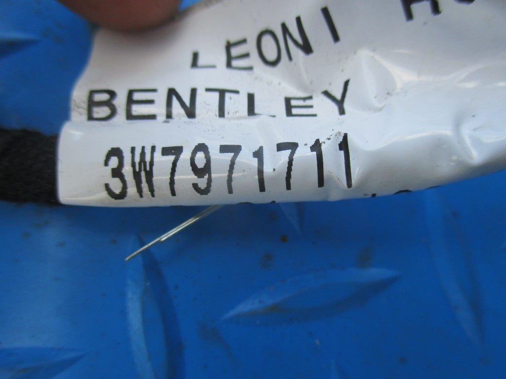 Bentley Continental GTC quarter panel window motor wire harness #4516