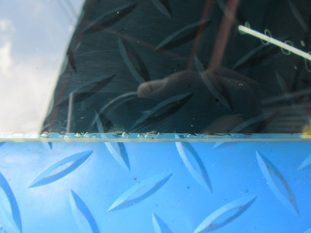 Maserati Quattroporte left rear door window glass #8764