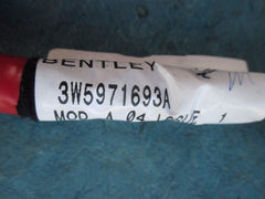 Bentley Flying Spur left rear door wire harness #2428