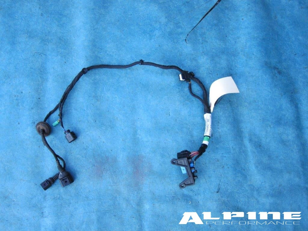 Bentley Continental Flying Spur Right rear door wire harness