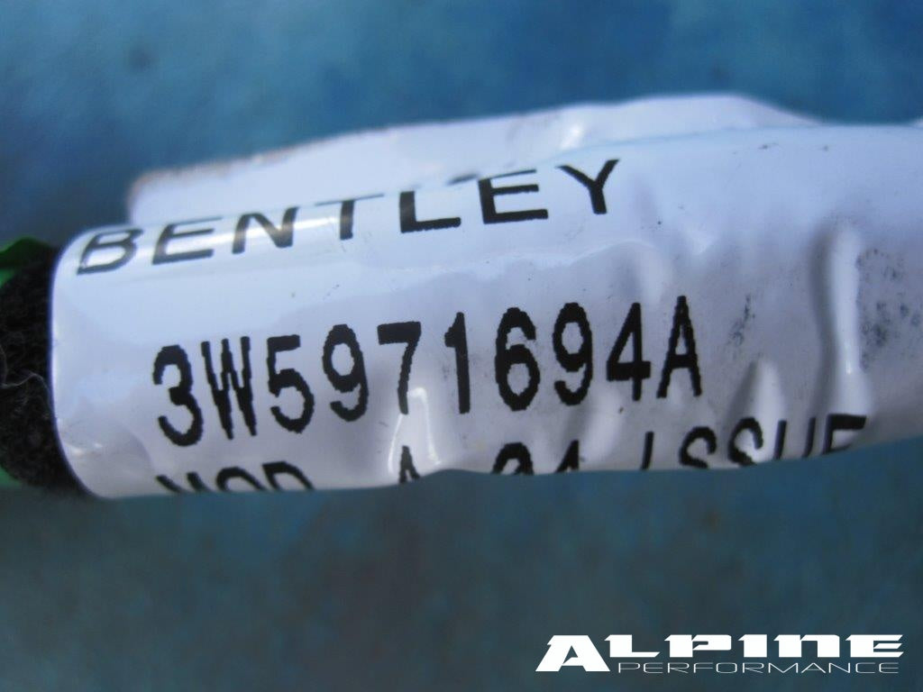 Bentley Continental Flying Spur Right rear door wire harness